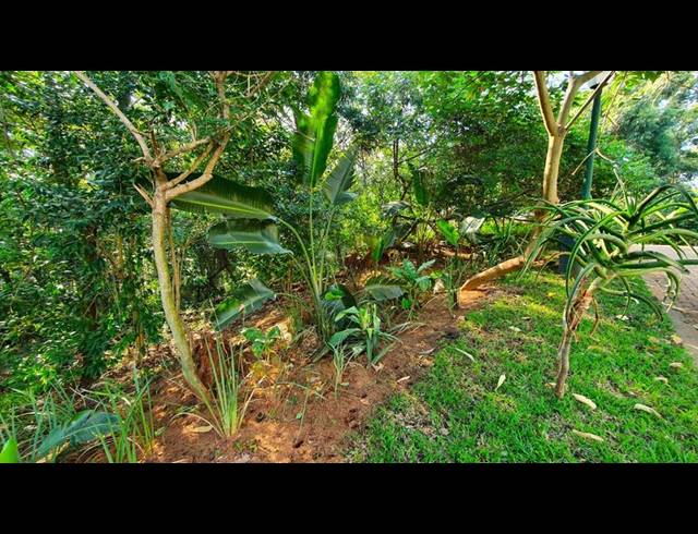 LAND FOR SALE IN ZIMBALI ESTATE